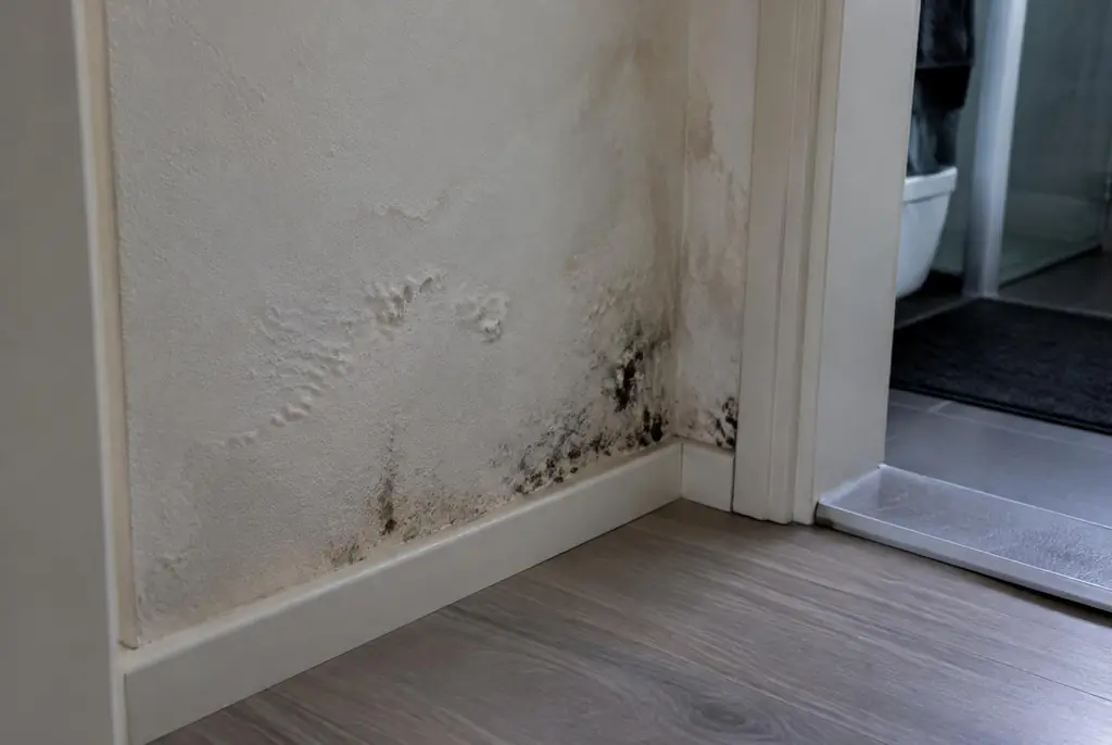 Lekdetectie Krimpen aan den IJssel – vochtplek met schimmel op een muur